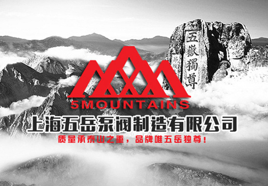 上海五岳安全阀